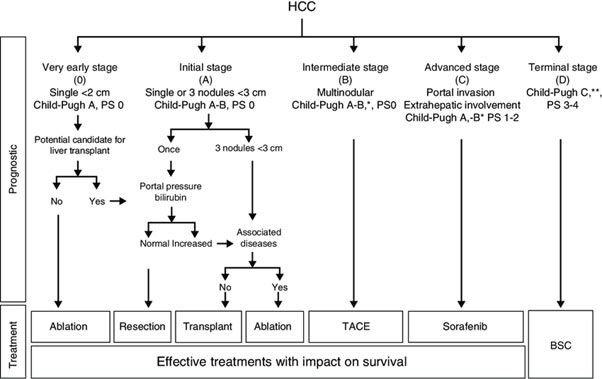 Liver disease treatment in Secunderabad