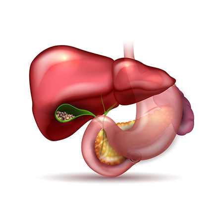 Gall Bladder & Bileduct Problems