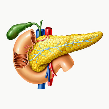 Pancreatic Problems